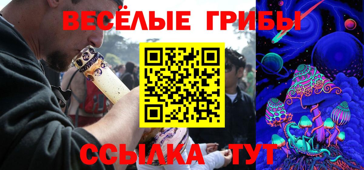 Ейск  Галлюциногенные грибы Cubensis  Вход с VPN 